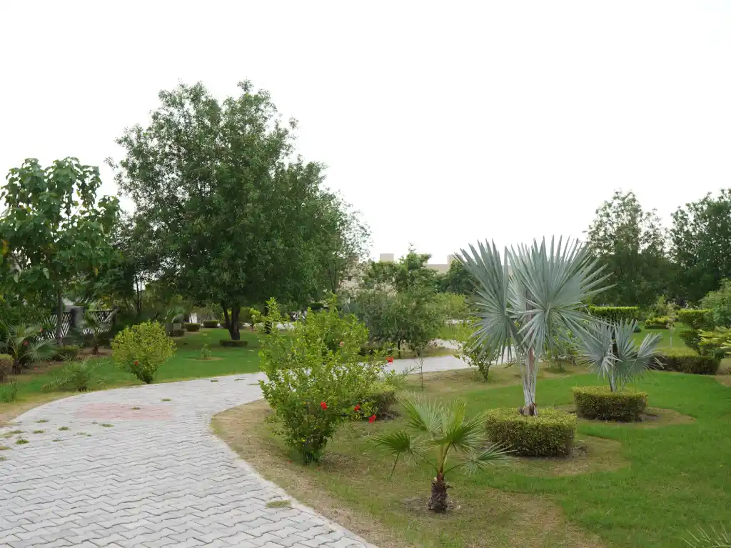 park Avenue Park